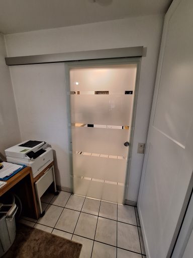 Glasschiebetüre 